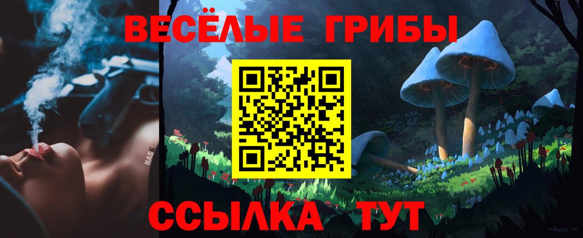 Псилоцибиновые грибы GOLDEN TEACHER Янаул