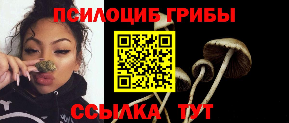Янаул  Псилоцибиновые грибы Psilocybe  Вход с VPN 