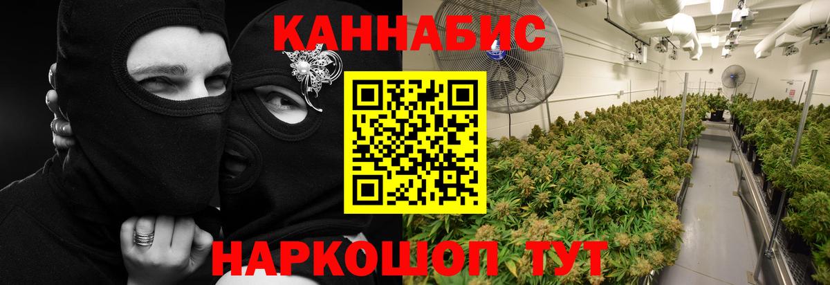 Янаул  Каннабис сатива  Вход с VPN  МАРИХУАНА ГИДРОПОН  Конопля индика 